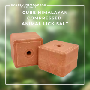Cube Compressed Animal Lick Salt