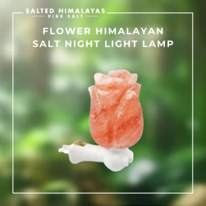 Flower Salt Night Light Lamp