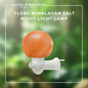 Globe Salt Night Light Lamp