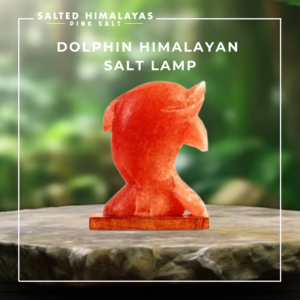 Dolphin Salt Lamp