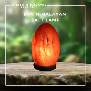 Egg Salt Lamp